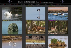 Le site de Jacky Bodin photographe animalier