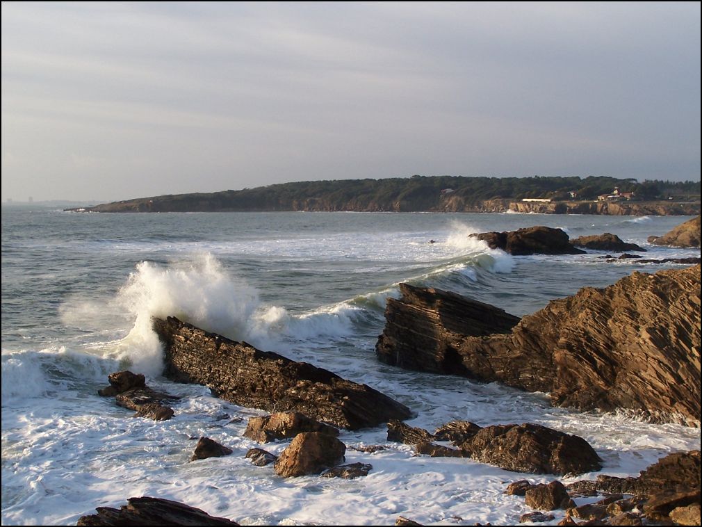 cote sauvage: Baie de Cayola à Talmont Saint Hilaire en Vendée