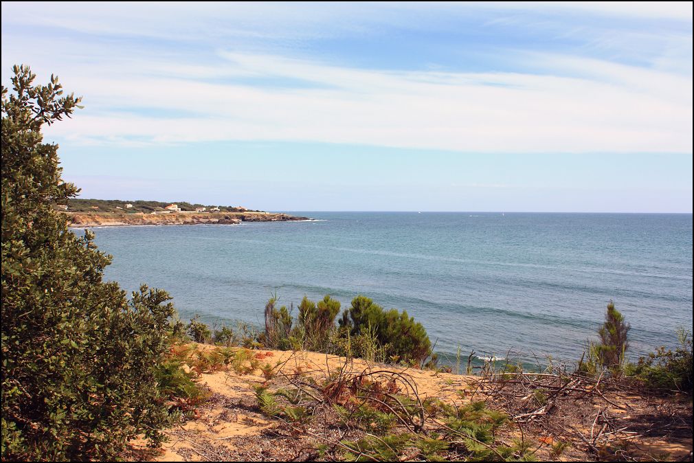 cote sauvage: Baie de Cayola à Talmont Saint Hilaire en Vendée