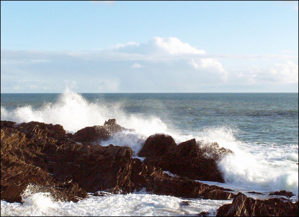 cote sauvage à Talmont Saint Hilaire en Vendée