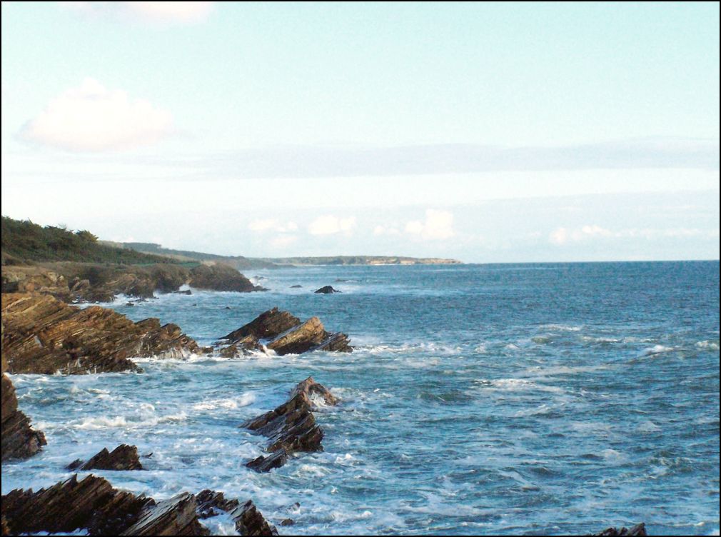 cote sauvage à Talmont Saint Hilaire en Vendée