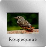 rougequeue;