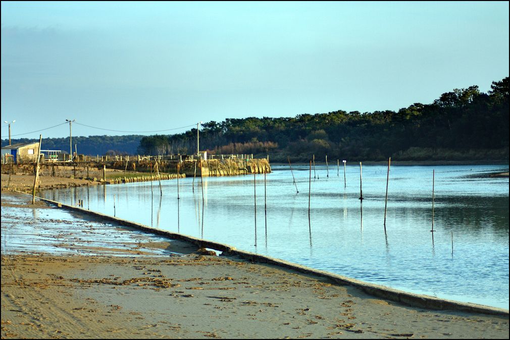 Le port de la Guittiere à Talmont Saint Hilaire en Vendée