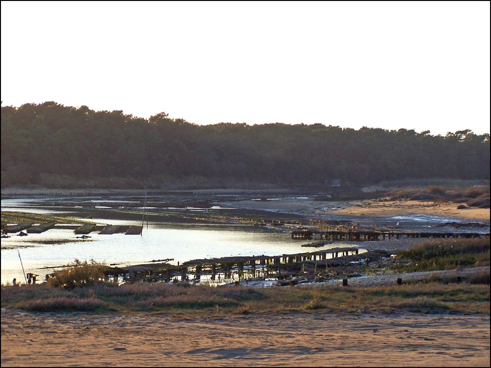 Parcs à huitres de la Guittiere à Talmont Saint Hilaire en Vendée