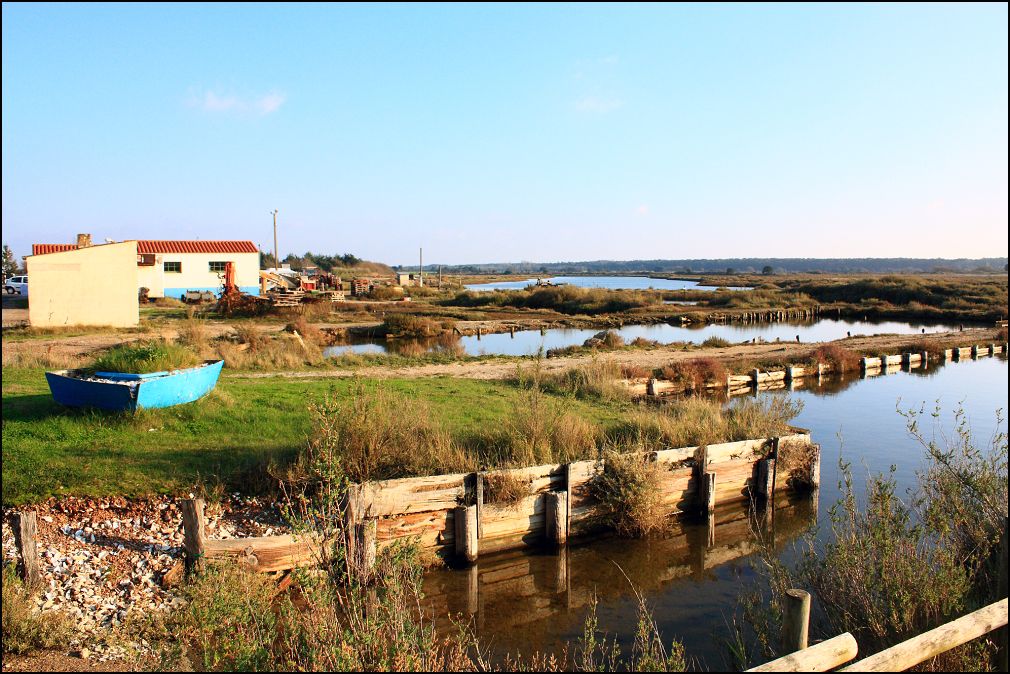 Cabanes ostréicoles de la Guittiere à Talmont Saint Hilaire en Vendée