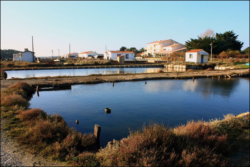 Bassins d'affinages de la Guittiere à Talmont Saint Hilaire en Vendée