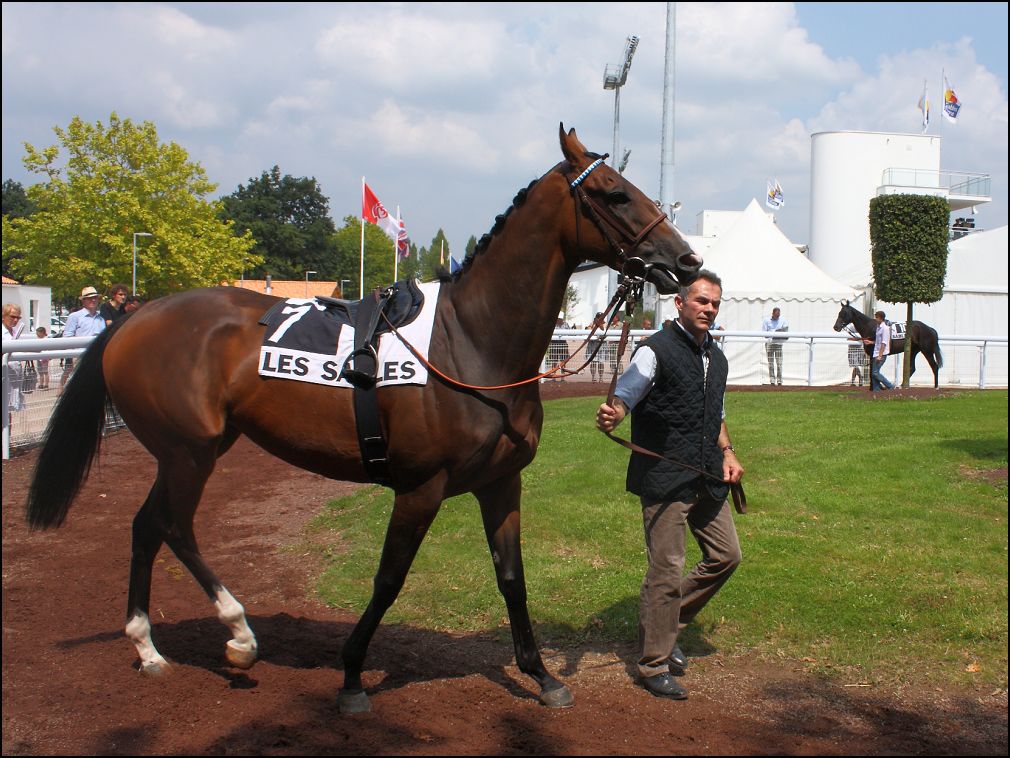 rond de prsentation sur l'hippodrome de la Malbrande  Talmont Saint Hilaire en Vendée