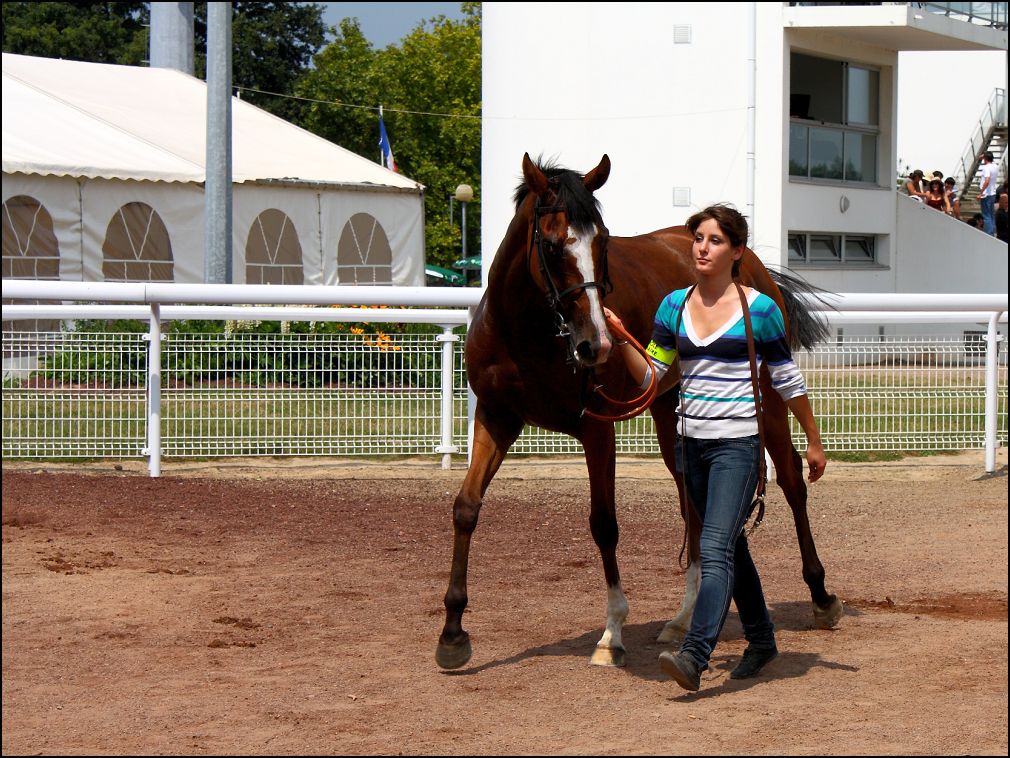 cheval et son lad