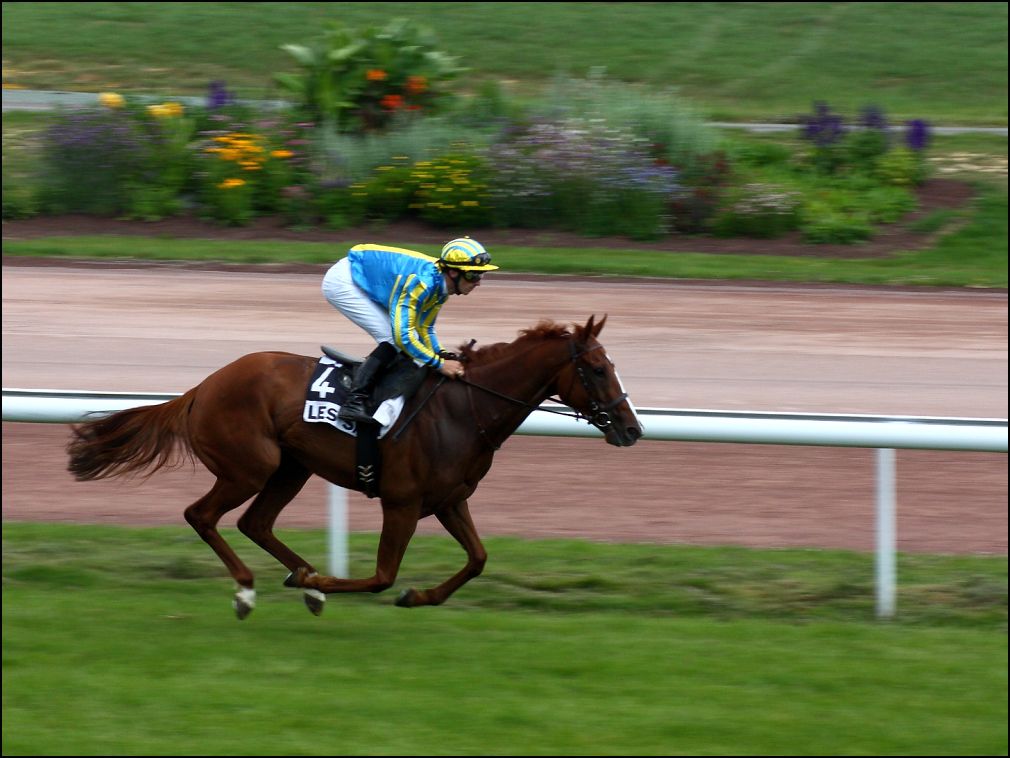 dernire ligne droite