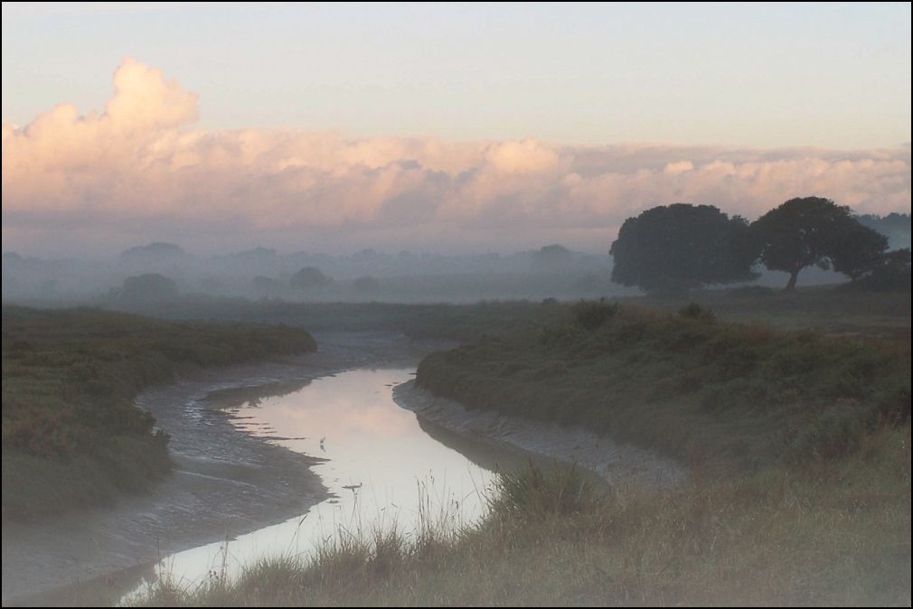 marais à Talmont Saint Hilaire en Vendée