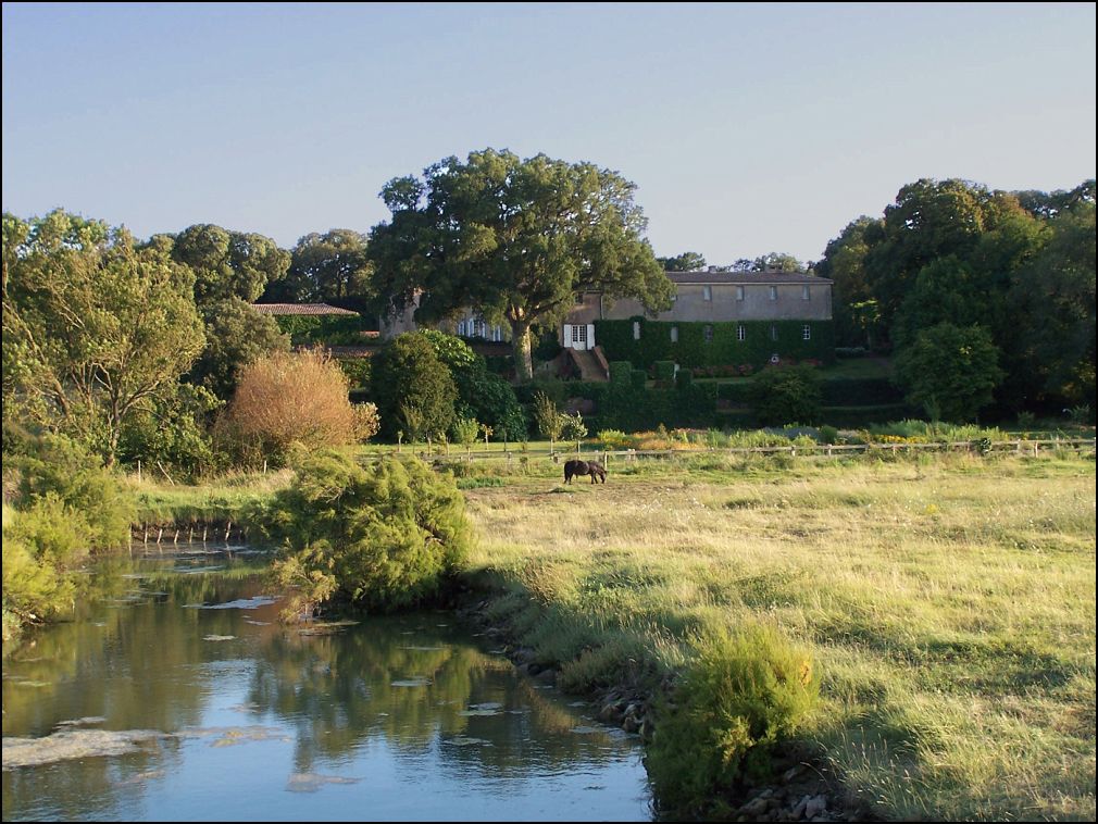 marais à Talmont Saint Hilaire en Vendée