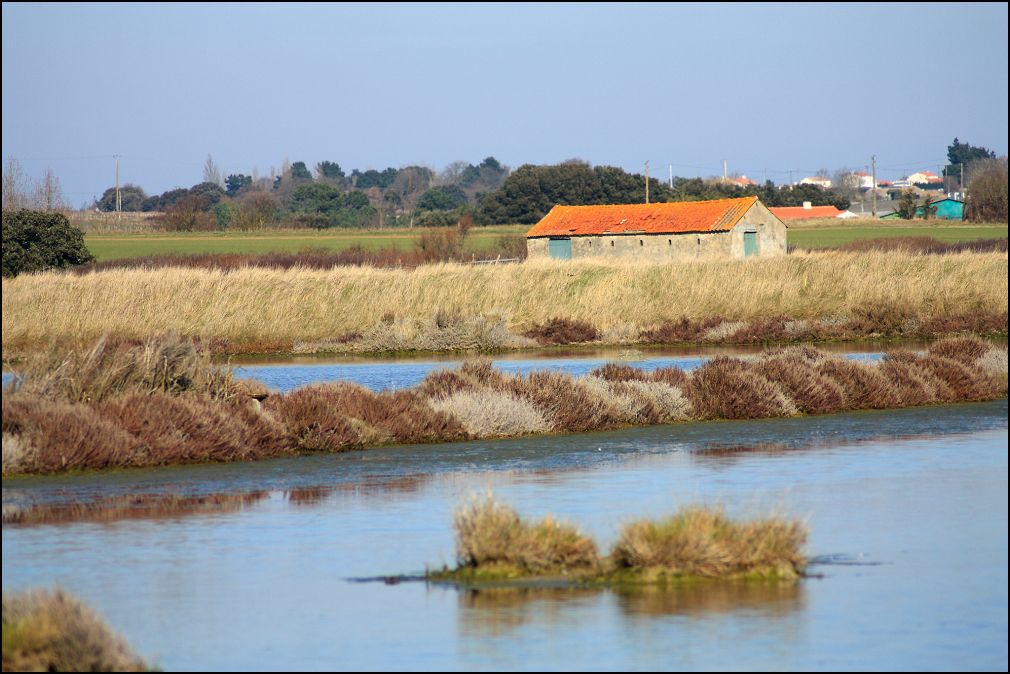 Grand marais à Talmont Saint Hilaire en Vendée