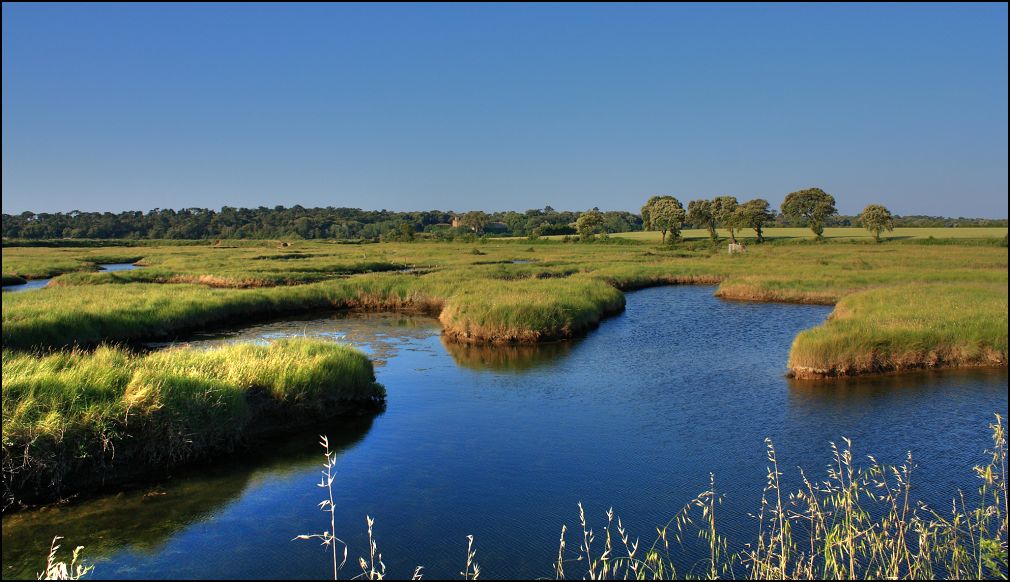 marais à poissons à Talmont Saint Hilaire en Vendée