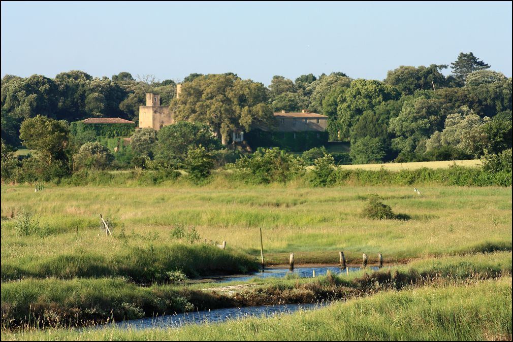 marais à Talmont Saint Hilaire en Vendée