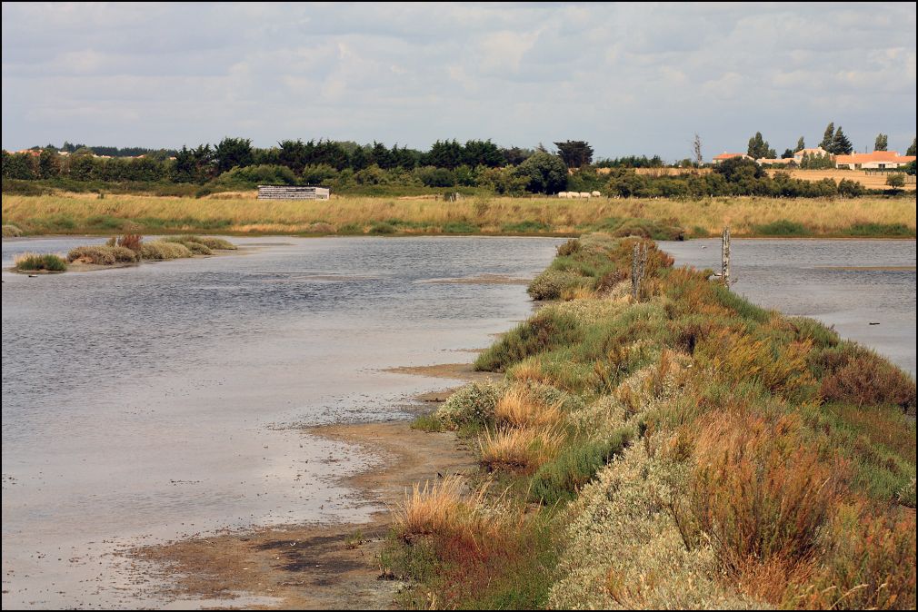 marais salants à Talmont Saint Hilaire en Vendée