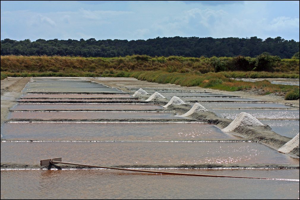 marais salants à Talmont Saint Hilaire en Vendée