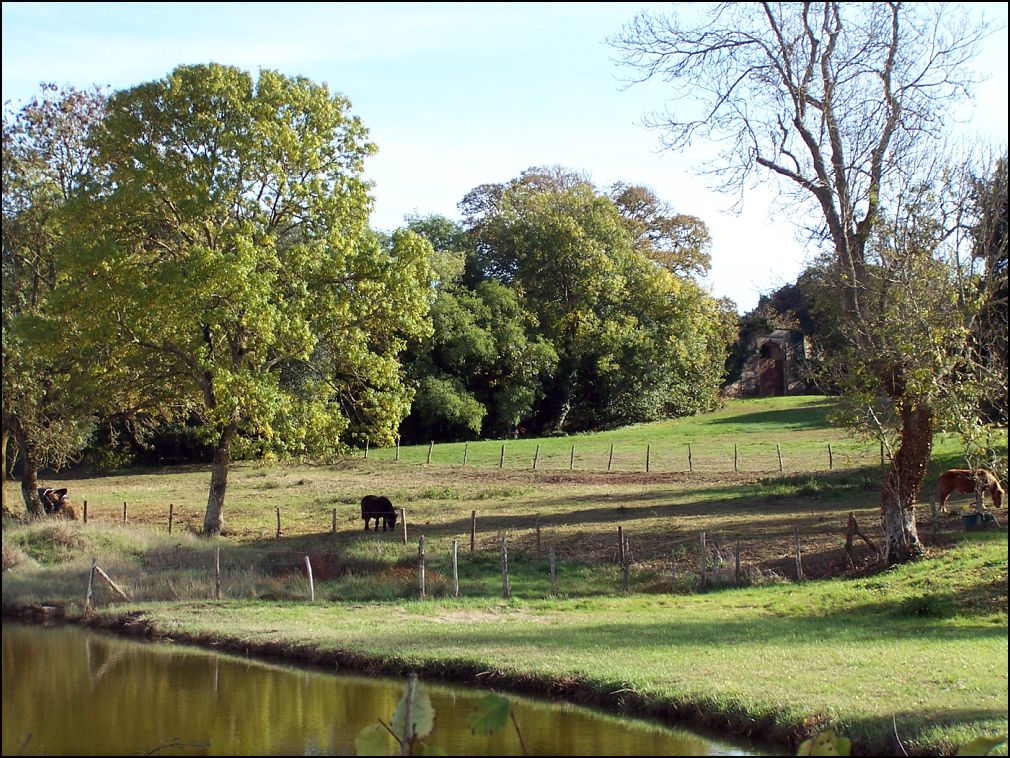 marais à Talmont Saint Hilaire en Vendée