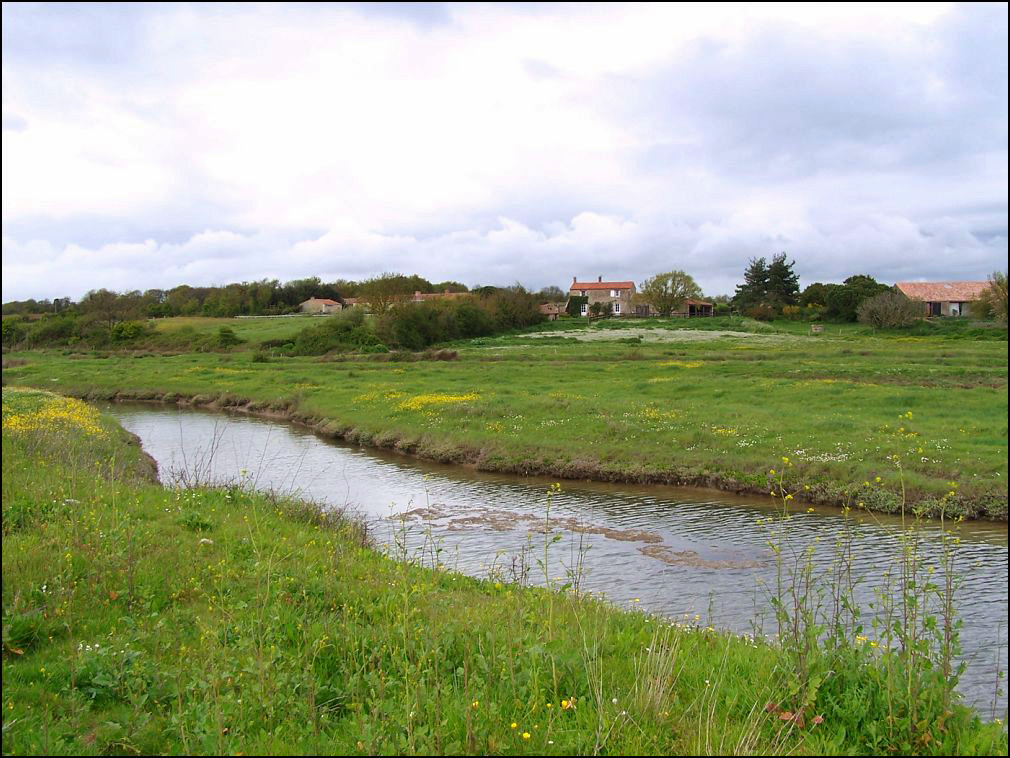 marais à Talmont Saint Hilaire en Vendée