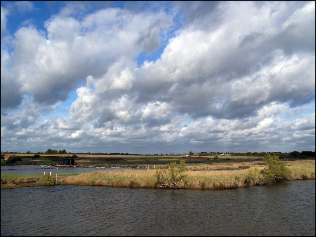 Grand marais à Talmont Saint Hilaire en Vendée