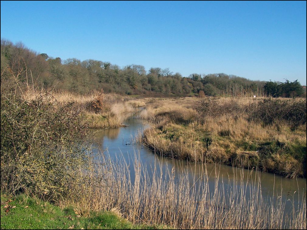 marais à Talmont Saint Hilaire en Vendée