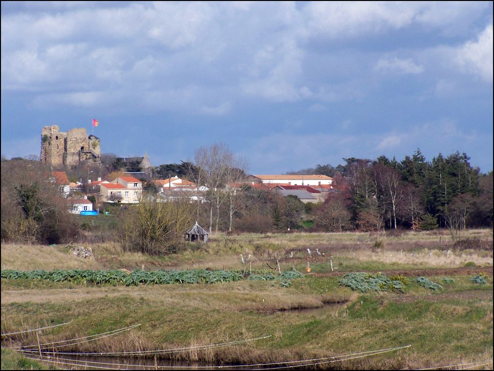 marais à Talmont Saint Hilaire en Vendée