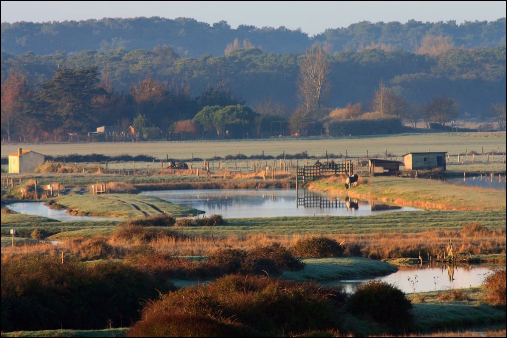 Aurore sur le marais benest à Talmont Saint Hilaire en Vendée