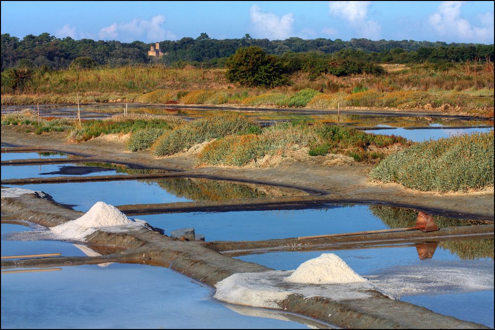 marais salants à Talmont Saint Hilaire en Vendée