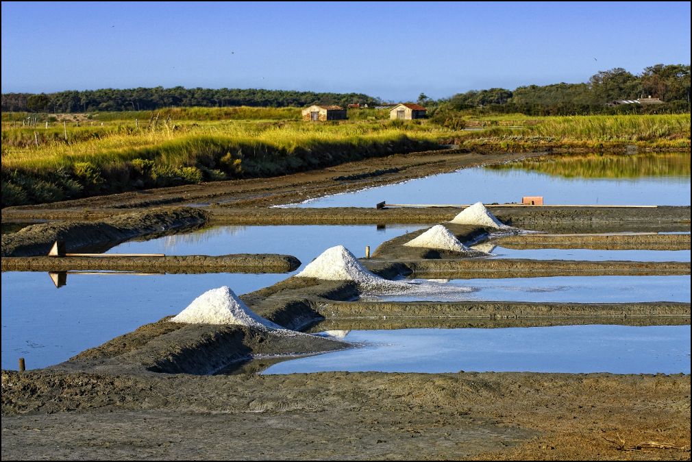 marais salants à Talmont Saint Hilaire en Vendée