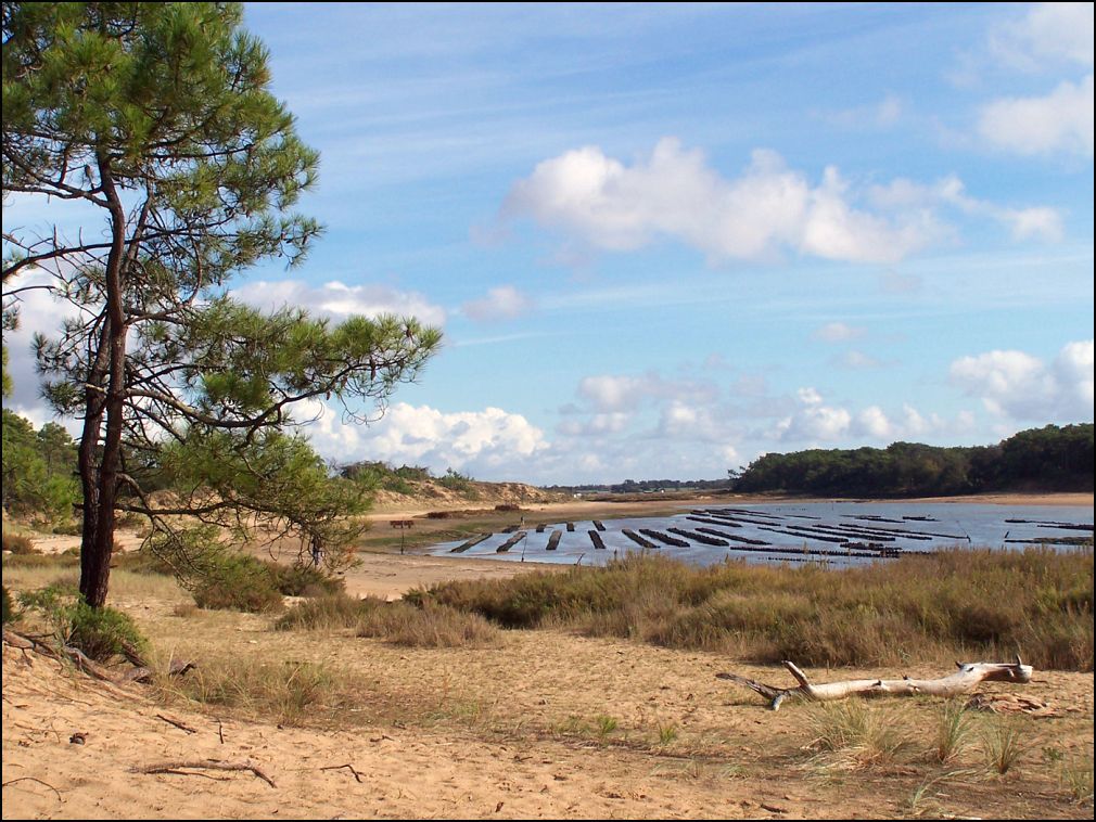 Estuaire du Payré à Talmont Saint Hilaire en Vendée