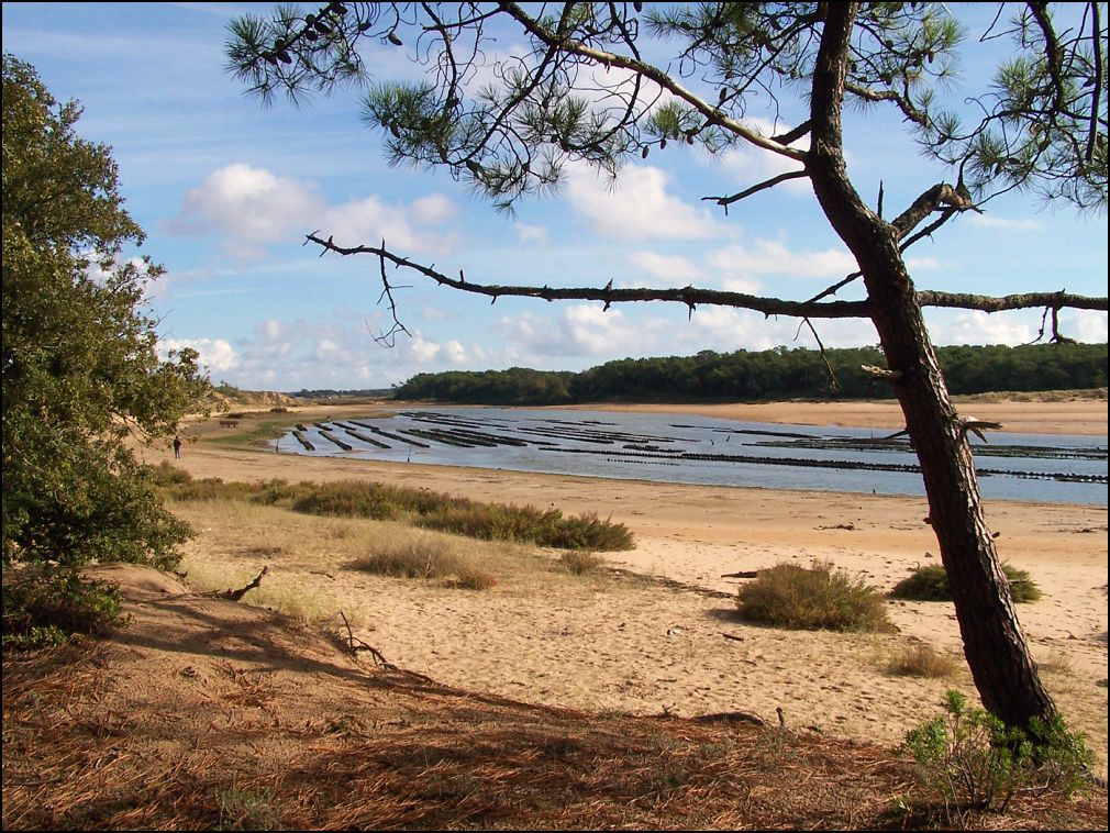 Estuaire du Payré à Talmont Saint Hilaire en Vendée