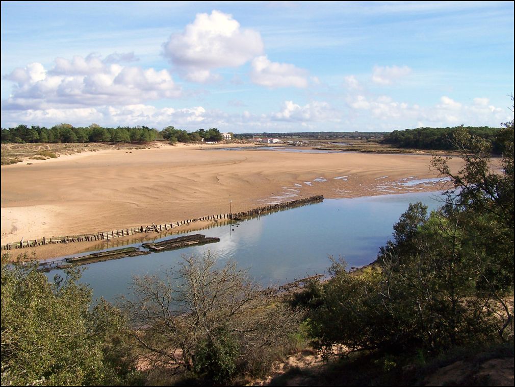 Payré à Talmont Saint Hilaire en Vendée