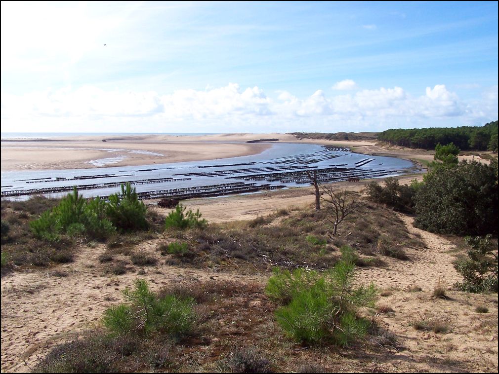 Estuaire du Payré à Talmont Saint Hilaire en Vendée