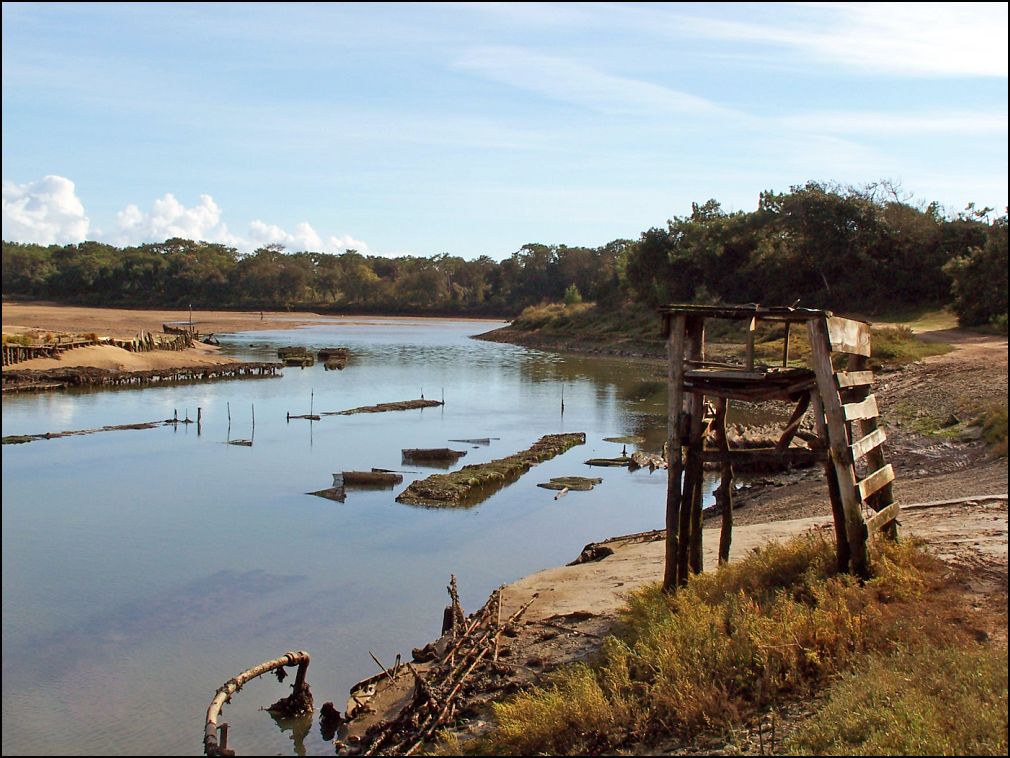 Estuaire du Payré à Talmont Saint Hilaire en Vendée