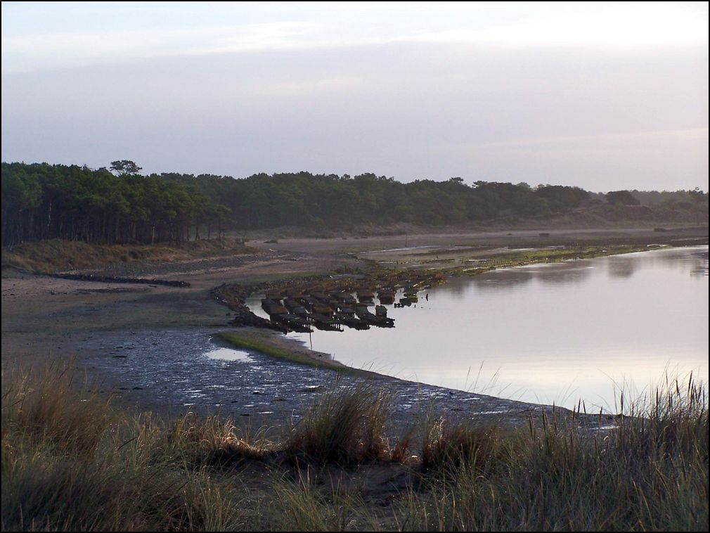 Aurore sur l' estuaire du Payré à Talmont Saint Hilaire en Vendée