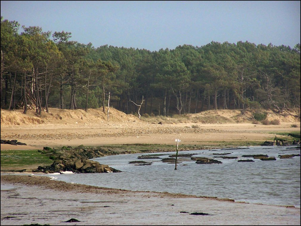 Estuaire du Payré à Talmont Saint Hilaire en Vendée