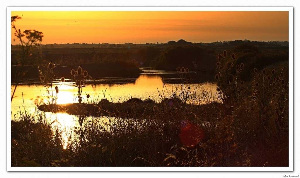 Soleil levant sur le marais