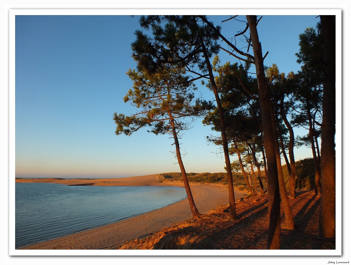 Matin d'automne au bord du Payré