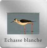 diapo_echasse