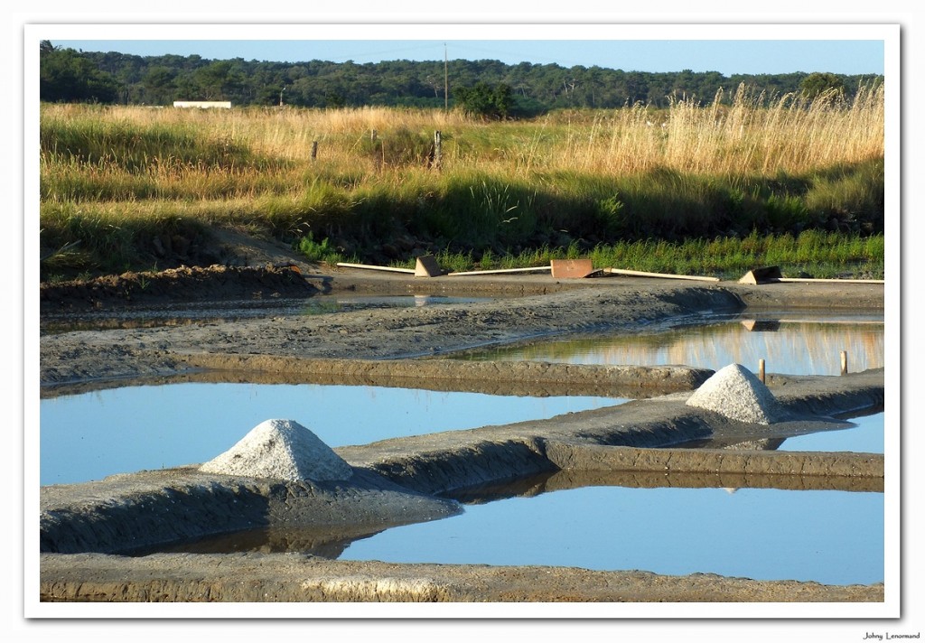 marais salant Blog du Talmondais