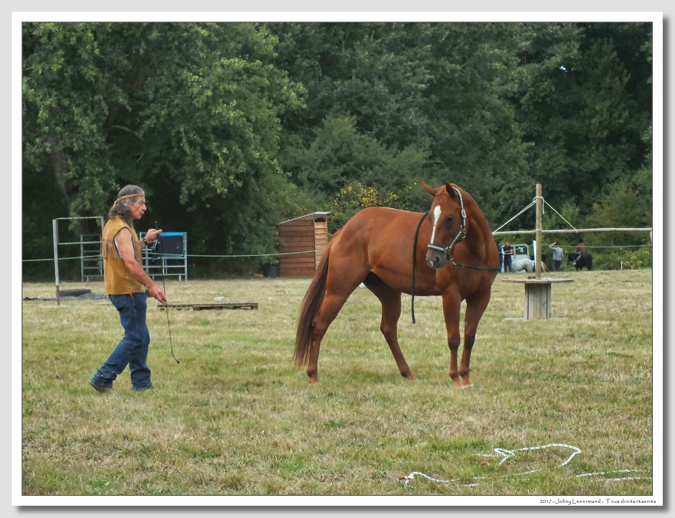 Fête du cheval à Moutiers les Mauxfaits