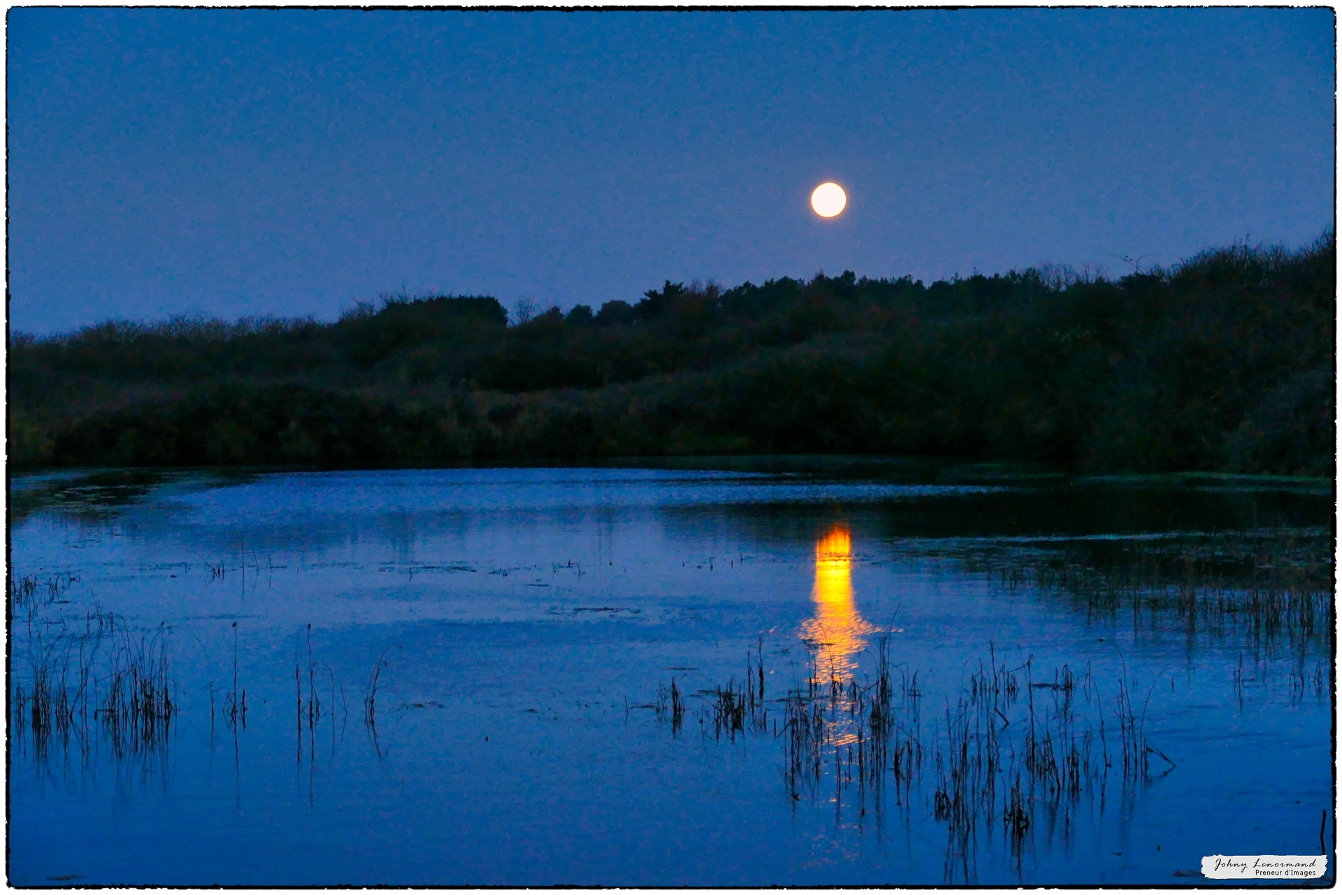 Coucher de lune sur le marais