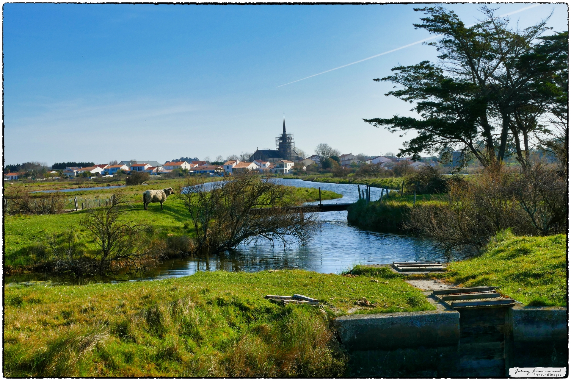 Marais de l'Ile d'Olonne (Vendée)