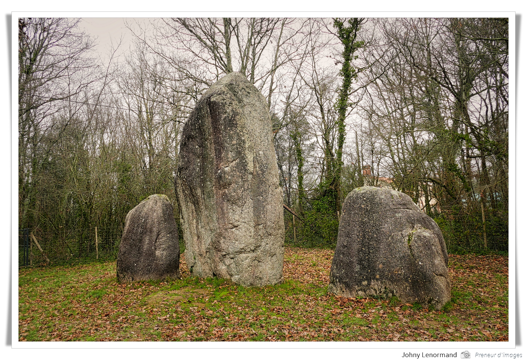 Menhir à Avrillé (Vendée)