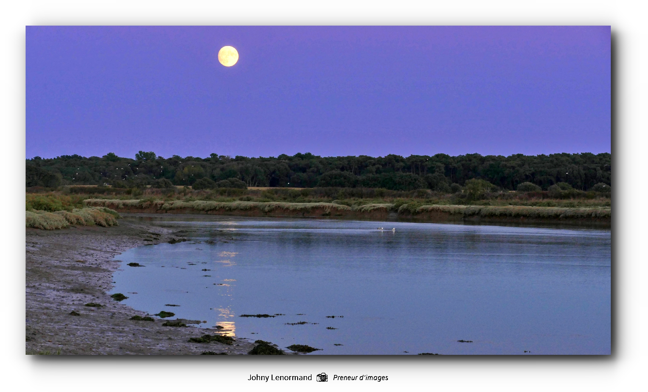 La lune sur le marais au Port de la Guittière à Talmont-Saint-Hilaire (Vendée)