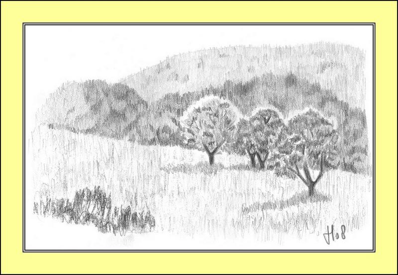 Prairie, dessin de Johny Lenormand