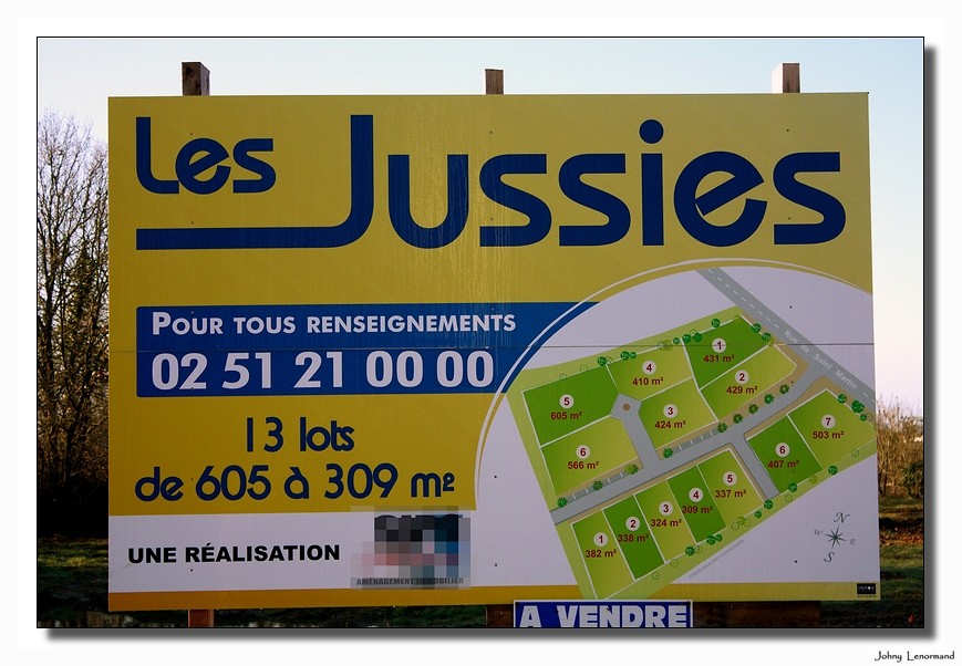 Les jussies