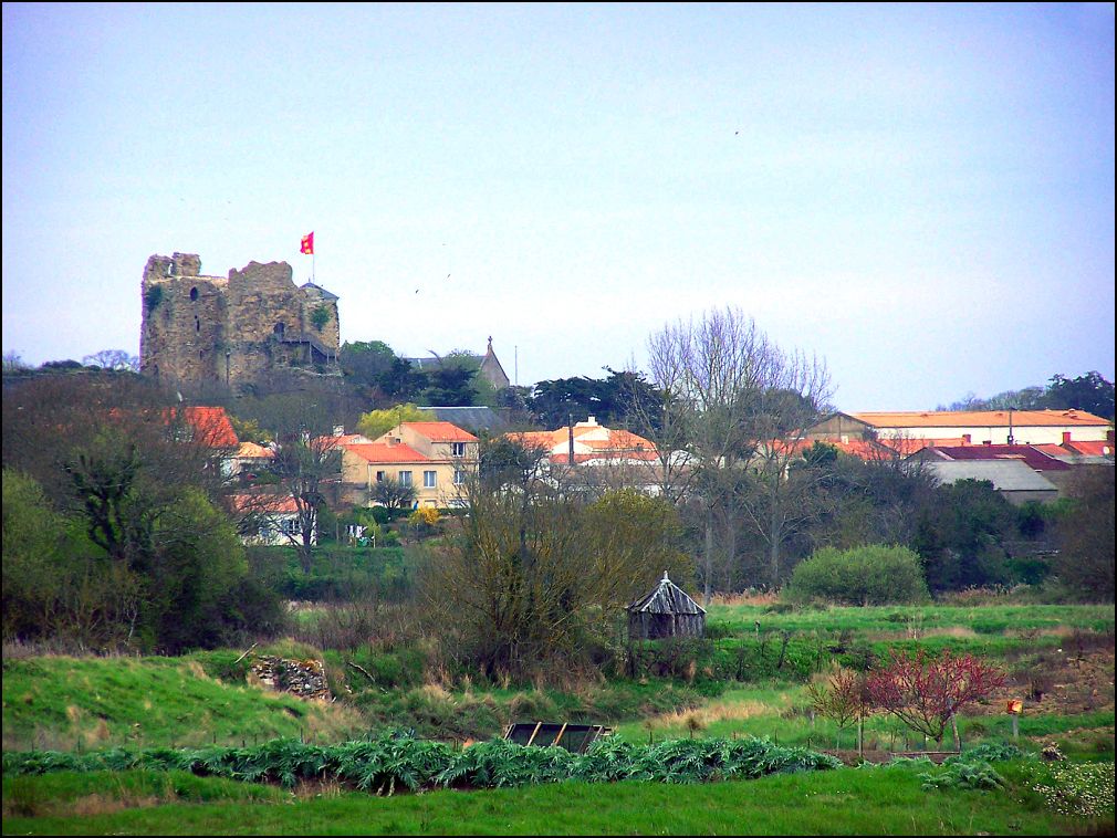 Le bourg vu des marais avec le château de Talmont