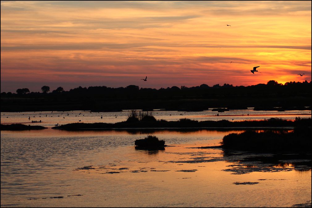 Coucher de soleil sur le marais du mitant à Talmont Saint Hilaire en Vendée