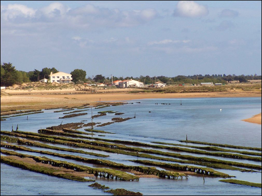 Parc ostréicole dans l' estuaire du Payré à Talmont Saint Hilaire en Vendée